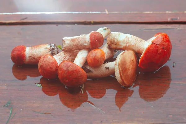 Fresh mushrooms on the table — Stock Photo, Image