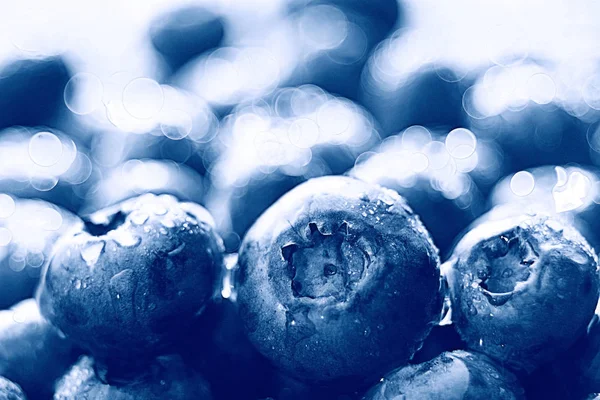 新鮮な果実、ブルーベリー — ストック写真