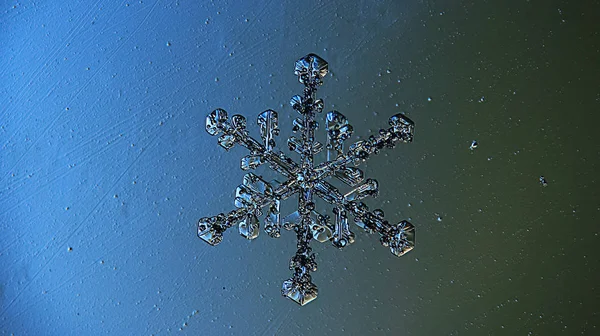 Grote sneeuwkristal, sneeuwvlok — Stockfoto