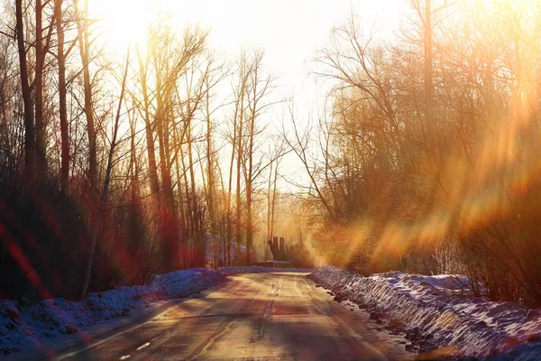 Puesta de sol en el bosque de invierno —  Fotos de Stock