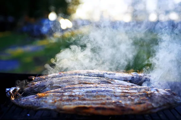 Fish on the grill in the street — Stock Photo, Image