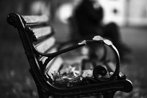 Bench in het najaarspark — Stockfoto