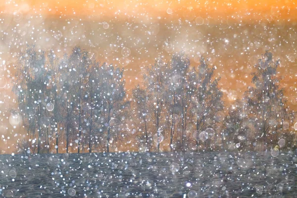Kış ormanında gün batımı — Stok fotoğraf