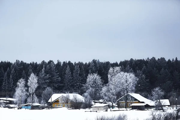 Schneebedeckter Winterwald — Stockfoto
