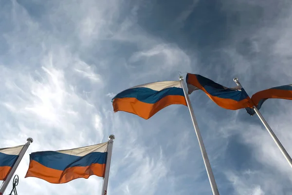 하늘에 대 한 벨로루시의 깃발 — 스톡 사진