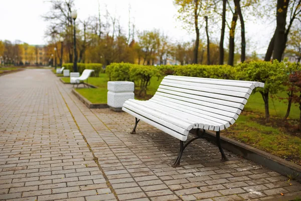 Bankjes in het park na de regen — Stockfoto