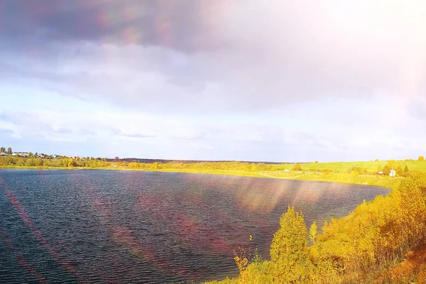 Sträucher wachsen auf einem Feld — Stockfoto