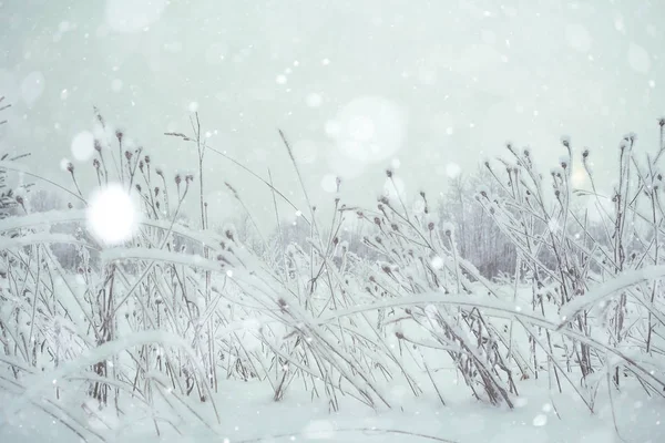 Snö i fältet med gräs — Stockfoto