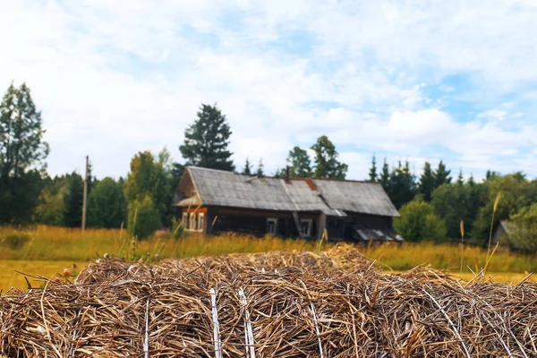 Maison de village dans un champ — Photo