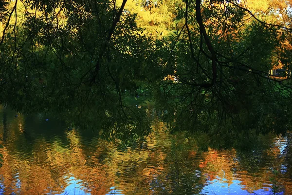 Tiempo soleado en el parque de otoño — Foto de Stock
