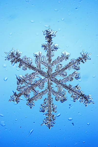 Großer Schneekristall, Schneeflocke — Stockfoto