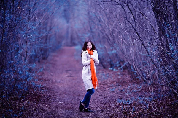 Young woman in autumn forest — Stock Photo, Image