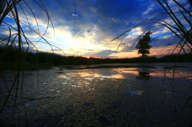 akşam Gölü kıyısında günbatımı