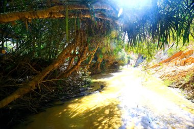 dağ nehir bir şelale 