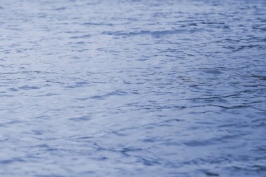 küçük dalgalar ile deniz