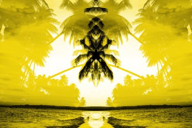 Gün batımında palmiye ağaçları