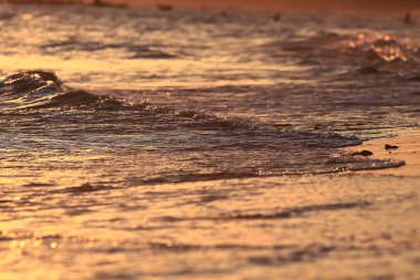 tropikal günbatımı, dalgalar