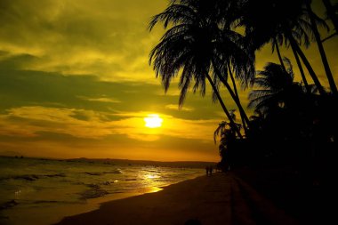 Gün batımında palmiye ağaçları