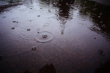 su yüzeyi, açık doku 