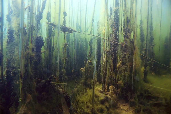 Bajo el agua del lago — Foto de Stock