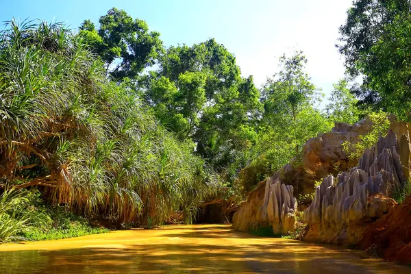 Río en los trópicos en un día — Foto de Stock