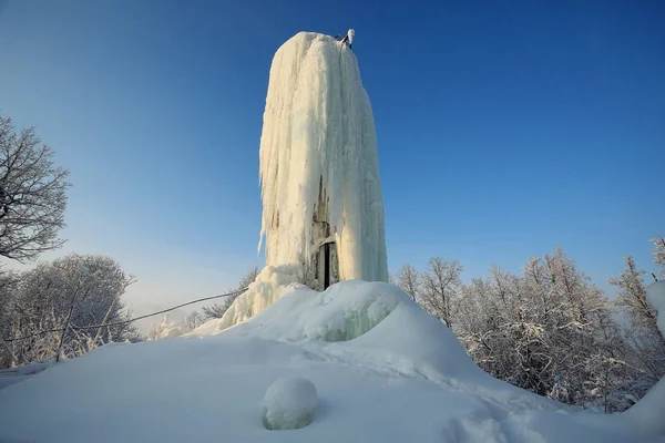 얼음 및 눈 나무 — 스톡 사진