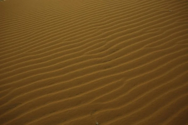 Textur av sand i öknen — Stockfoto