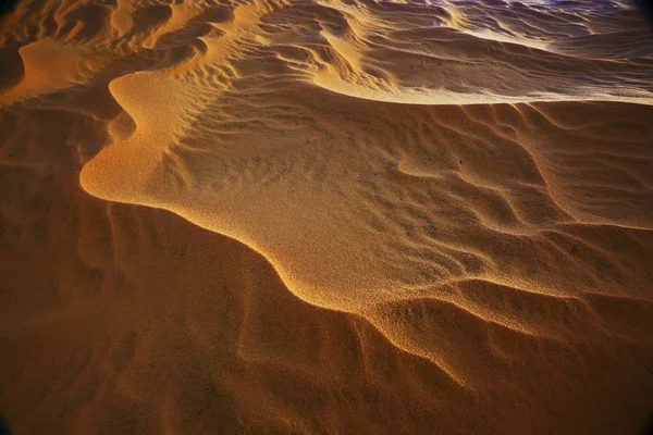 Sanddunes a sivatagban — Stock Fotó