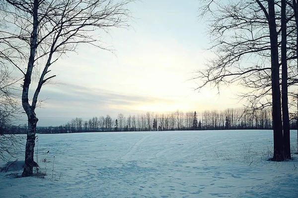 Campo de inverno com árvores — Fotografia de Stock