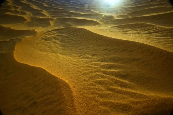 Zandduinen in de woestijn — Stockfoto