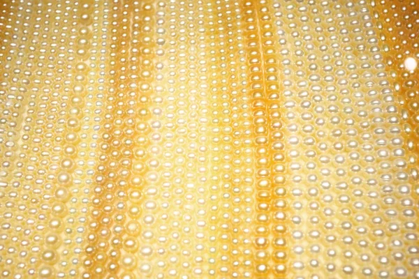 Hilos de perlas en escaparate — Foto de Stock