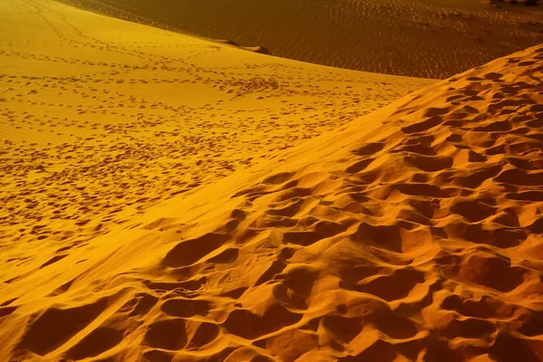 Dune di sabbia nel deserto — Foto Stock