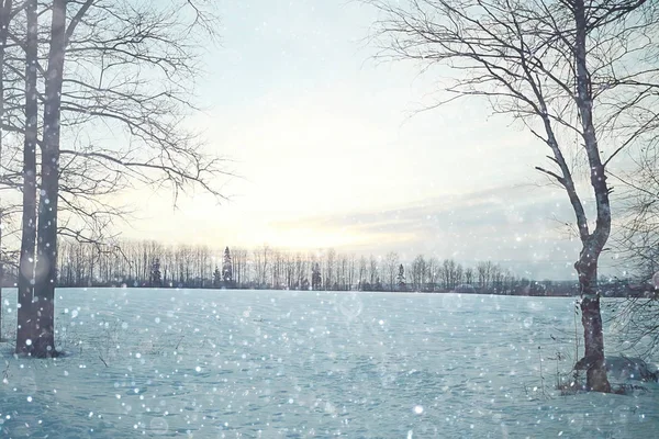 Winter veld met bomen — Stockfoto
