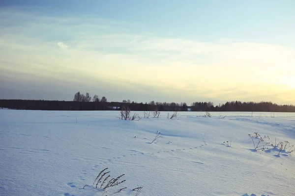 Vintern. snö fält — Stockfoto