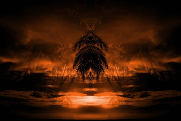 日没時のヤシの木 — ストック写真