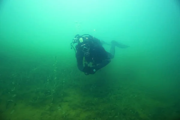 diver  Underwater swims