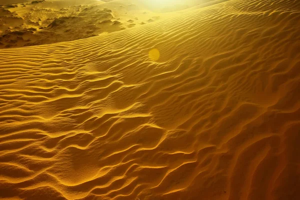 Bukit pasir di padang pasir — Stok Foto