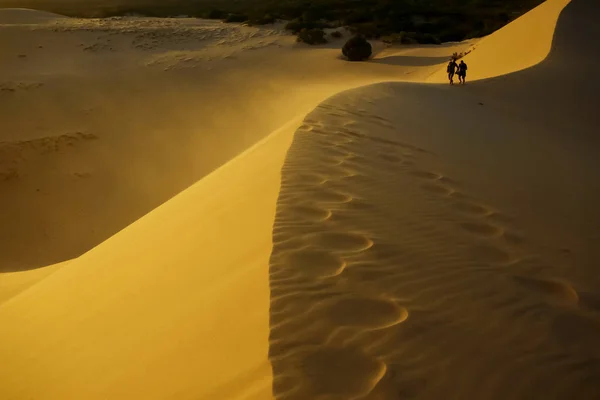 Піщані дюни в пустелі — стокове фото