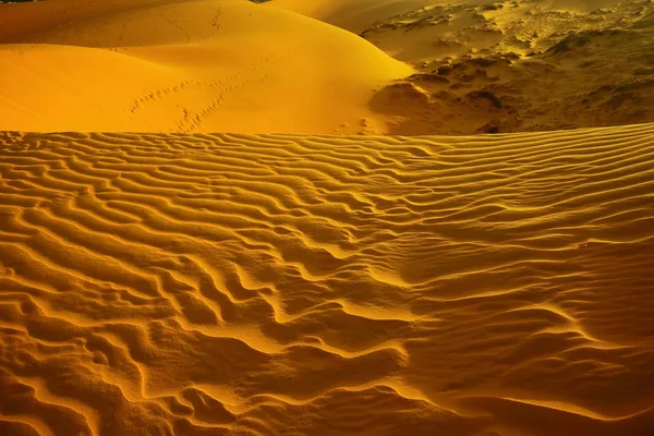 Dune di sabbia nel deserto — Foto Stock