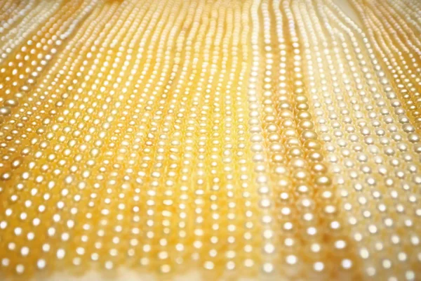 Pearl threads in shop window — Stock Photo, Image