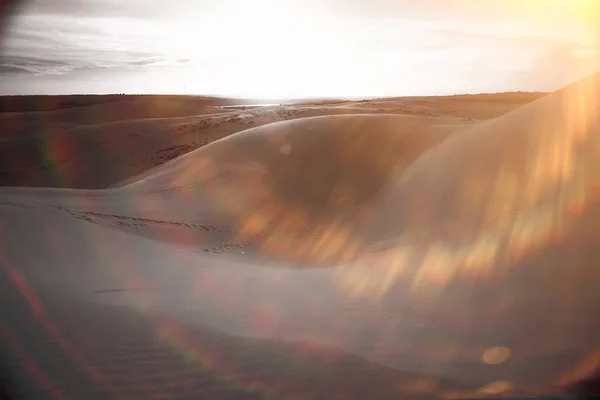 Dune di sabbia nel deserto — Foto Stock