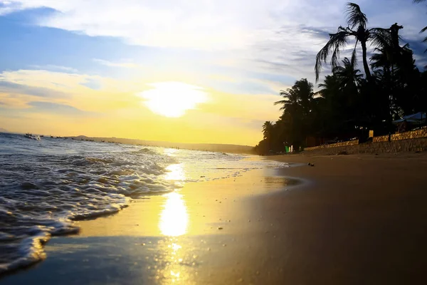 Beach in the tropics at sunset — Stock Photo, Image