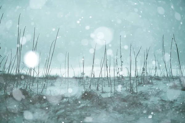 Neve no campo, natureza — Fotografia de Stock