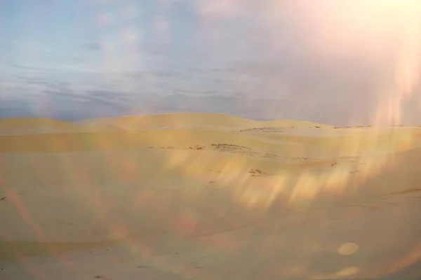 Písečné duny v poušti — Stock fotografie
