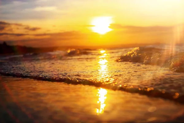 Beach in the tropics at sunset — Stock Photo, Image