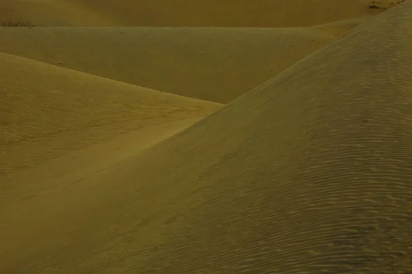 Dune di sabbia nel deserto — Foto Stock