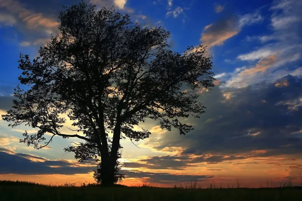 akşam Gölü kıyısında günbatımı