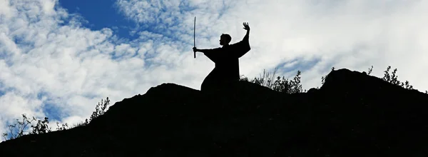 剣を持った戦士のシルエット — ストック写真