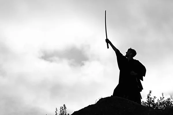 Silueta del guerrero sosteniendo la espada — Foto de Stock