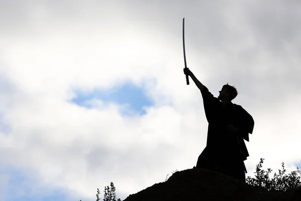 Silueta de luchador con espada —  Fotos de Stock